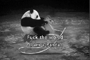 panda-fuck-the-world-favim.com-439087.gif